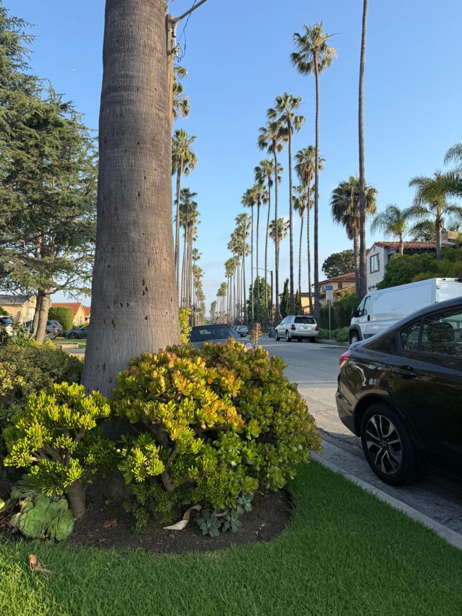 Charming Casita Near Usc, Sofi, And Culver City * Los Angeles